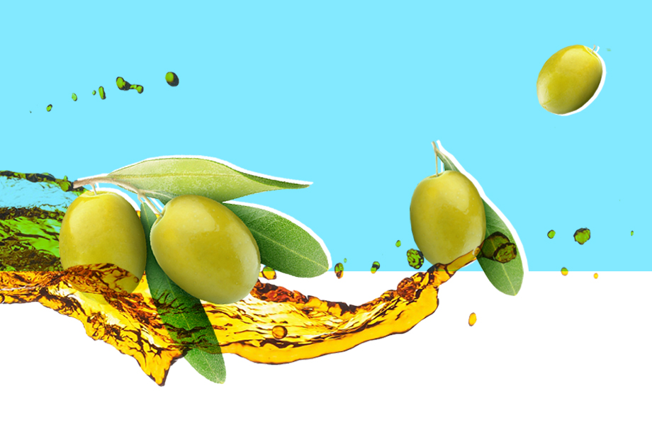 Top 7 Nutrient-Rich Plant Oils for a Balanced Diet