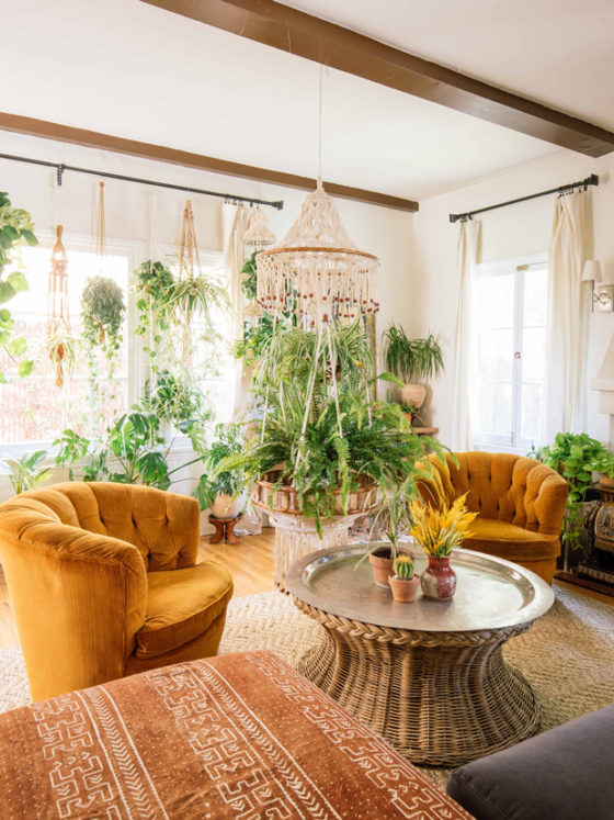 Velvet Magic: A Luxe Decor Roundup