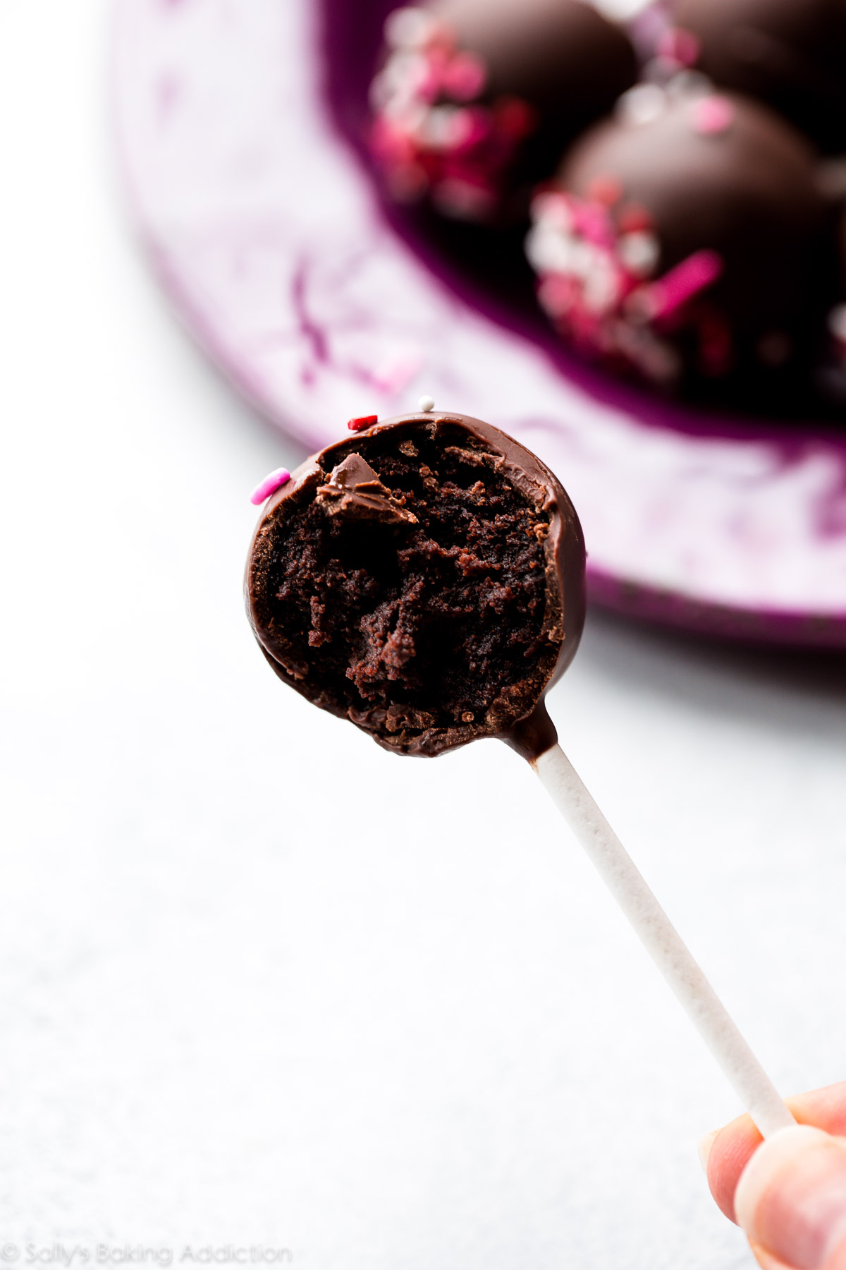 Decadent Homemade Chocolate Cake Pops – Sally's Baking Addiction