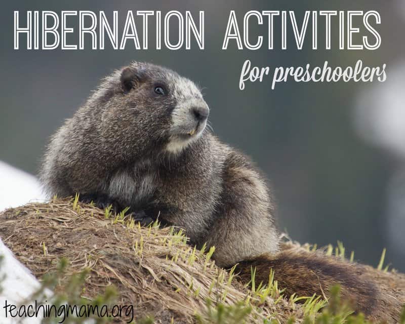 Preschool Hibernation Learning Activities – Teaching Mama
