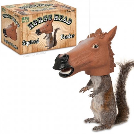 Squirrel spotted using a horse head feeding station