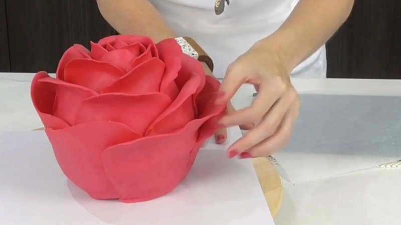 Transforming Ordinary Items Into Stunning Cakes! – Incredible Cake Creations