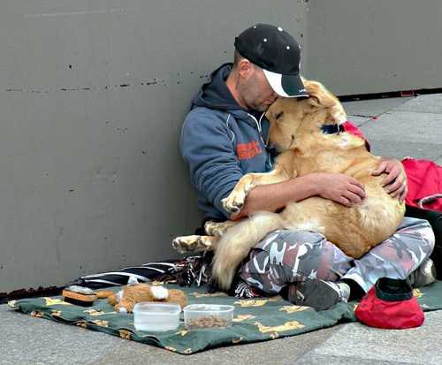 Extraordinary Animal Heroes: Unforgettable Acts of Compassion and Loyalty