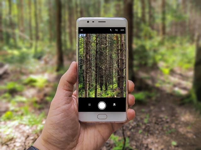 Rethinking Screen Habits: What If We Replaced Phones with Paper?